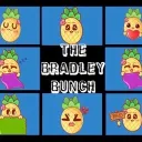 the bradley bunch