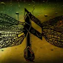 Linnetcreative's flock