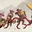 The Beholders guide Question sever