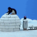 Deluxe's Igloo