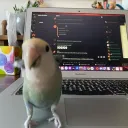 Private Feelings Discord server icon