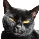 Rossicord