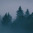 Catharsis