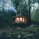 The Deep Woods