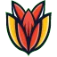 Bloom.host
