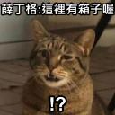 薛丁格之池 icon