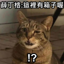 Discovery icon for 薛丁格之池 Discord server