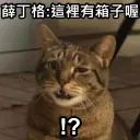 薛丁格之池