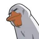 Duck | Discord Server