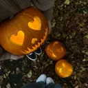 The Pumpkin Patch Discord Server Icon