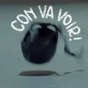 Con Va Voir!