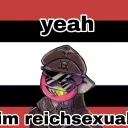 reich stanners