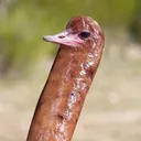 Simerodge's Discord