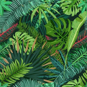 Pxnkz's Garden