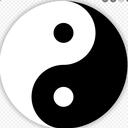 The dark vs the light Discord Server Icon
