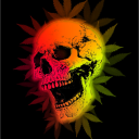 SHADOW GAMING icon