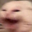 Chaosityâ€™s Nitro Emote Box Server Icon