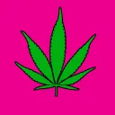 Makoinha Rauz🍁