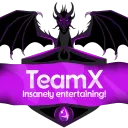 TeamX Net