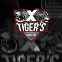 TIGER'S TREINOS ! icon