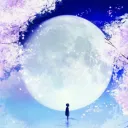Moonlight Lounge