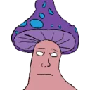 Anomalous Show Official Discord