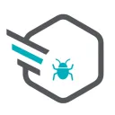 Bug Bounty .