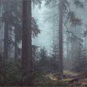 Syxnitys Forests