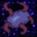 Veilgërsten Infinite