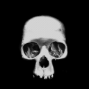 The Vanguardians Server Icon