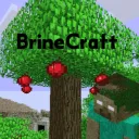 BrineCraft Classic