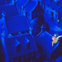 The Neverland 💫