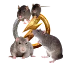 Ratpulse