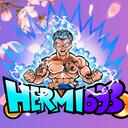 Hermi693 - Game for fun Discord Server Icon