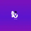 Vize™ Minecraft Hub