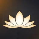 Lotus Roleplay