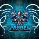 Probel's server