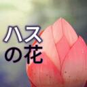 Hasu No Hana  🪷 (ハスの花) | Mudae ○ Karuta ○ Games Discord Server Icon