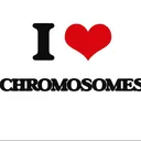 Homies With Extra Chromies