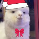 🎄 CodingCave