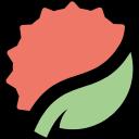 Lychee icon