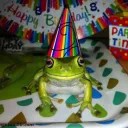 🥳୧ Cercado ୨🥳