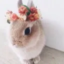 -.fabulous.-