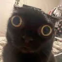 cät