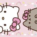+ ̊ᗢ  ഒ ⌜Kitty's Pocket⌟ + ̊  ꒱ Discord Server Icon