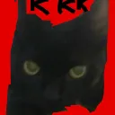 Gatos e ratos