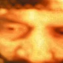 𝕰𝖑𝖓𝖎𝖓𝖔'𝖘 𝕺𝖋𝖋𝖎𝖈𝖊