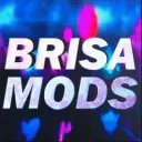 BriSa Mods