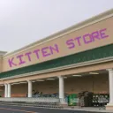 Kitten Store