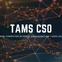 TAMS CSO